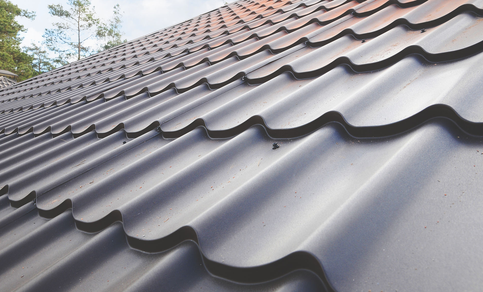 Black Roof